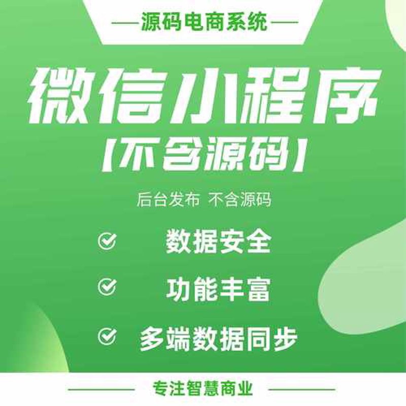 小程序开发：构建轻量级的移动应用新时代